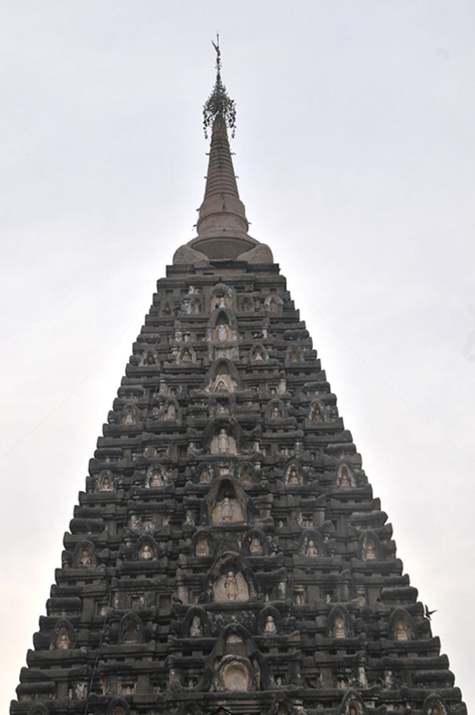 Burma 168