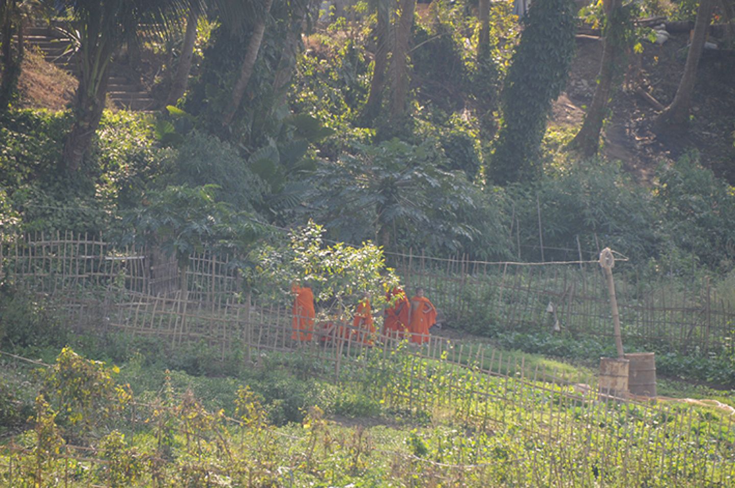 Myanmar 242