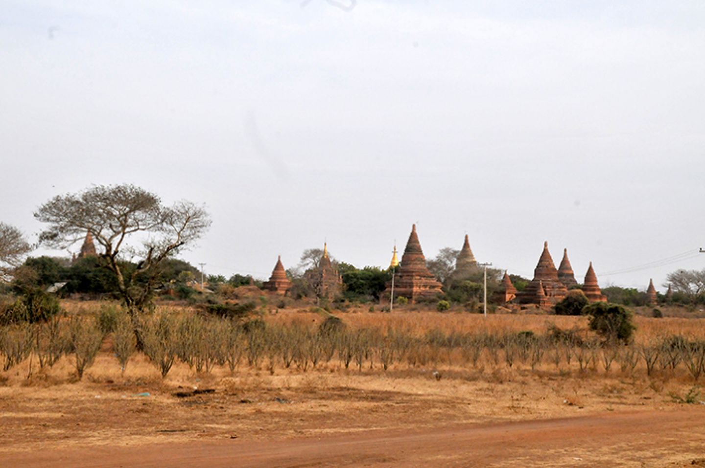 Burma 311