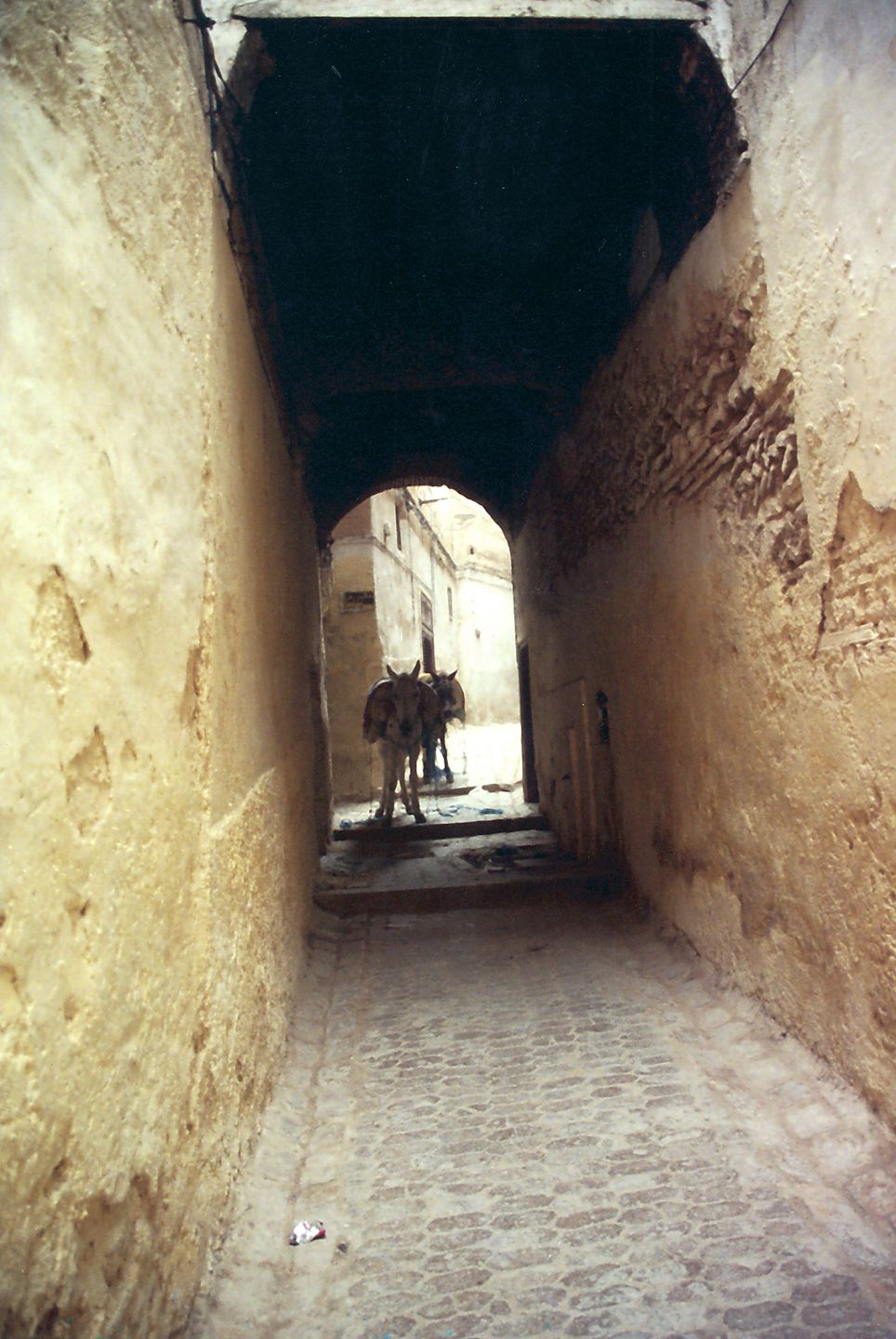 Morocco 66