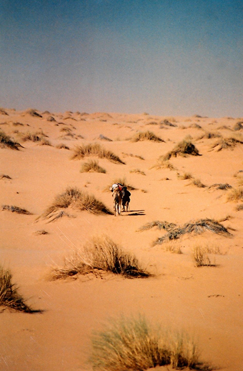 Morocco 71
