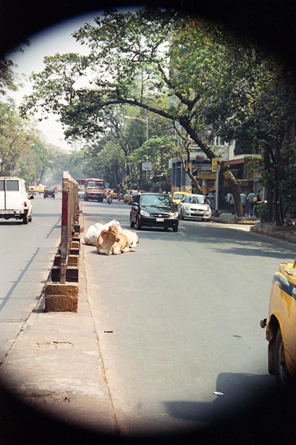 India 132