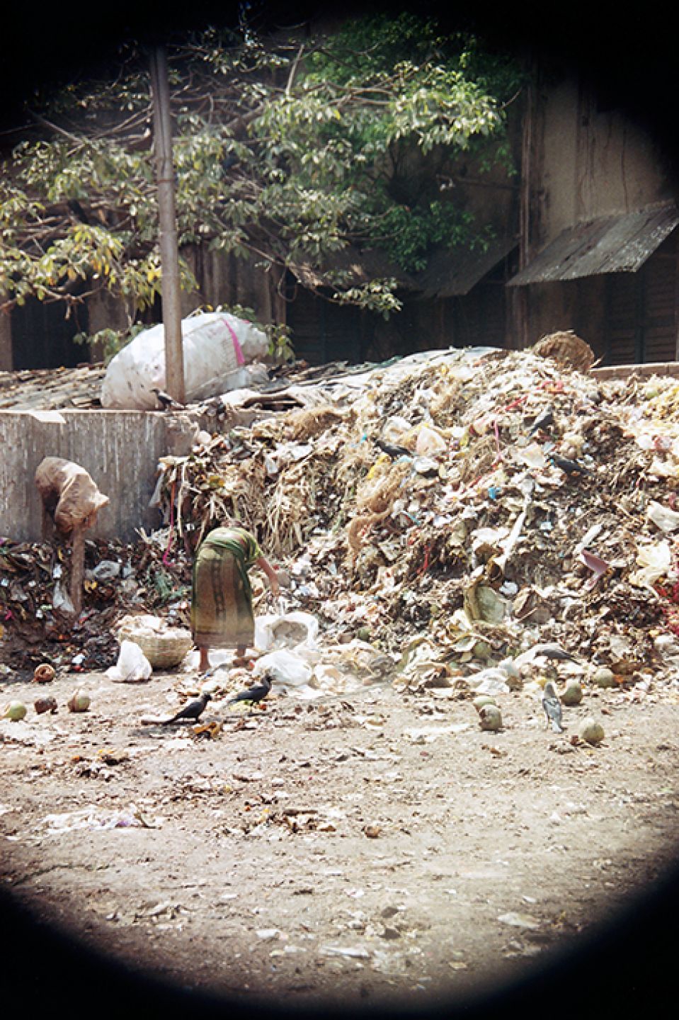 India 197