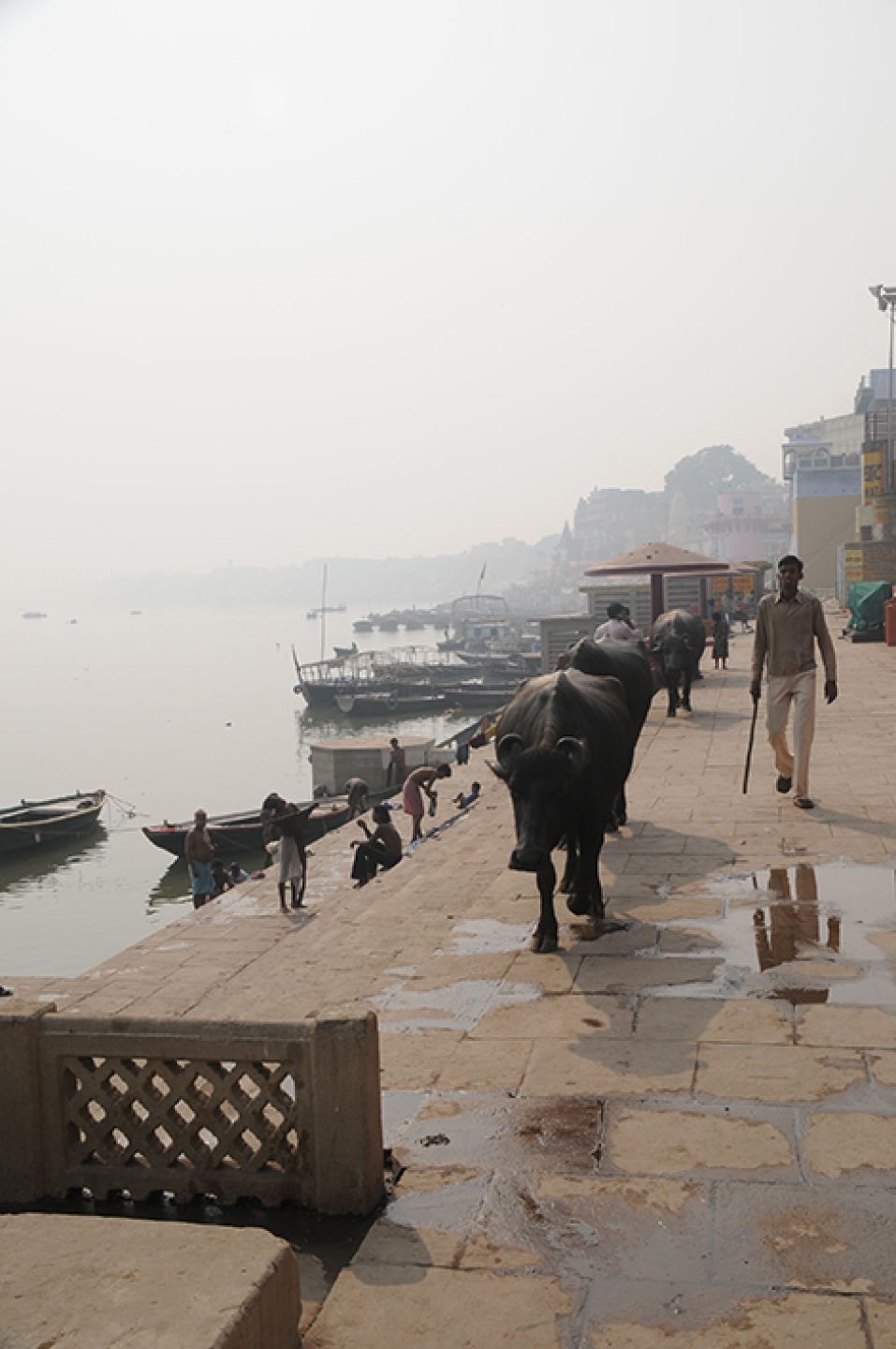 India 221