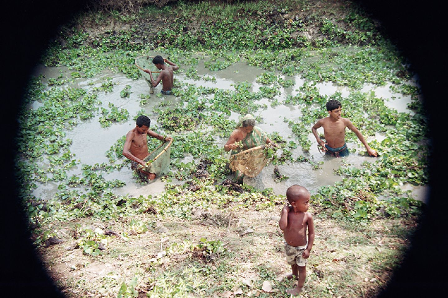 India 245