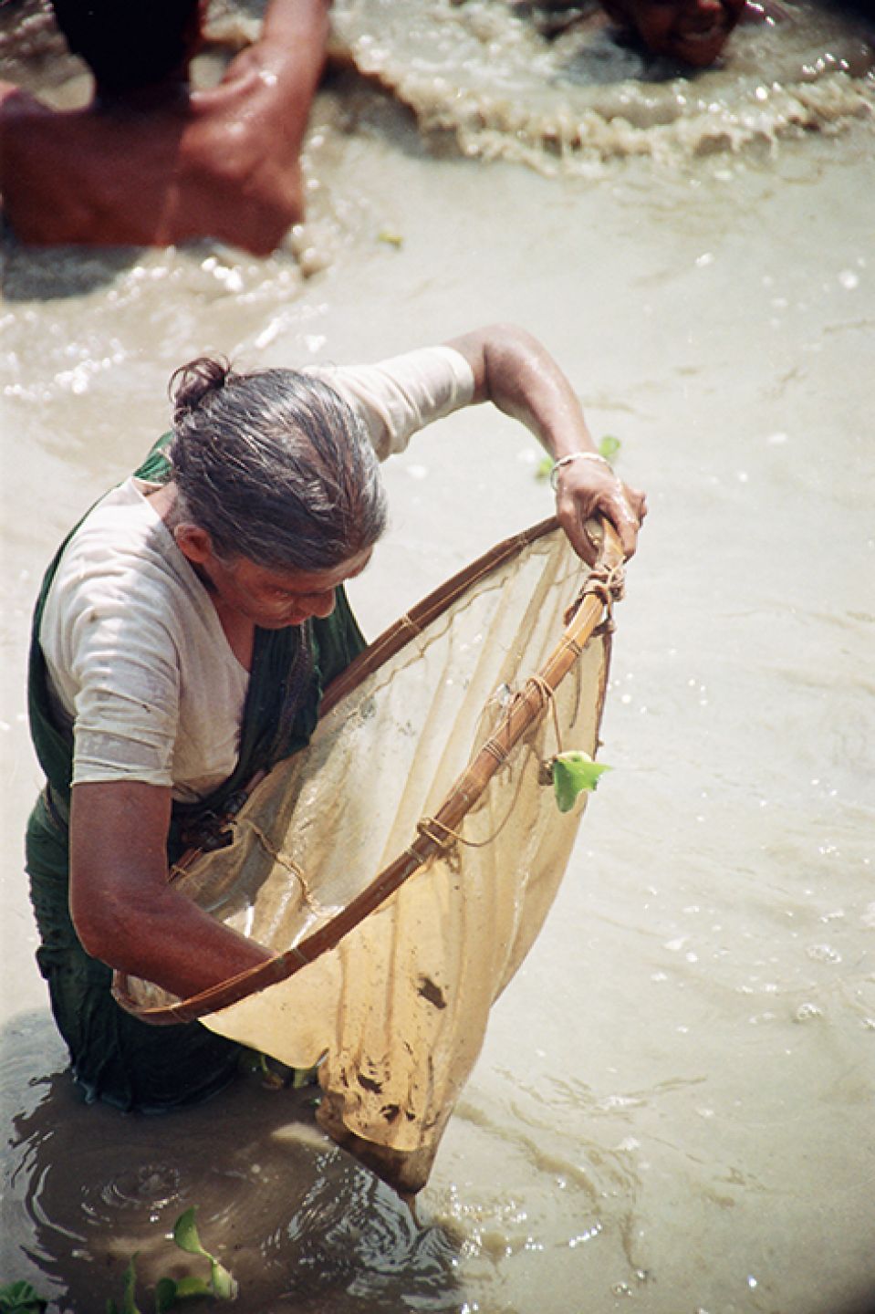 India 297
