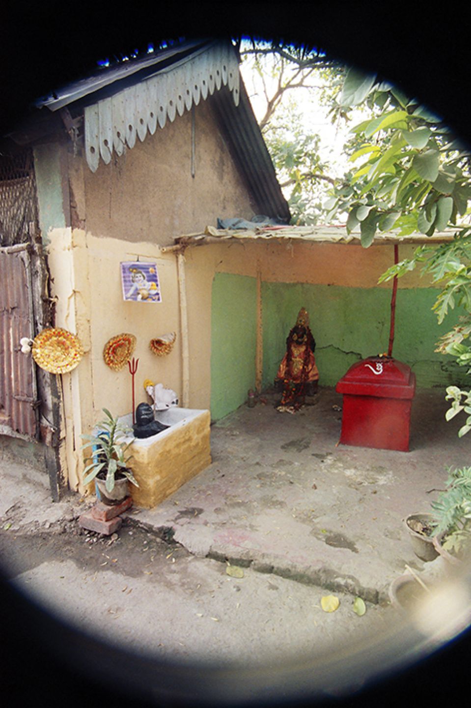 India 303