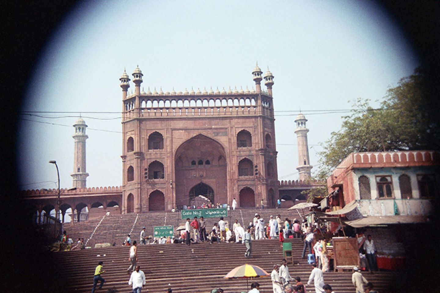 India 31