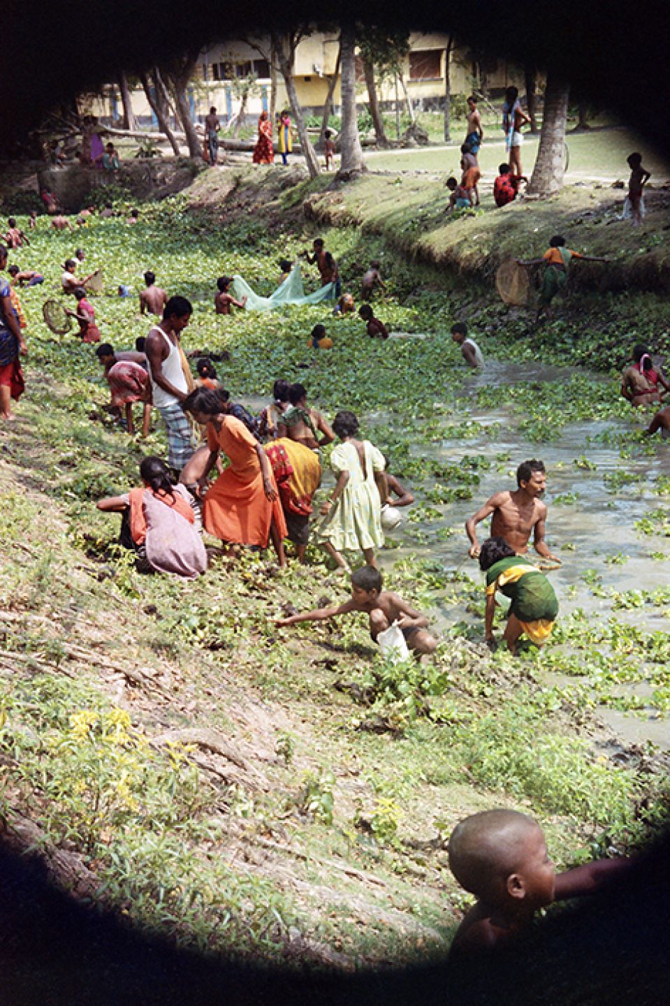 India 317