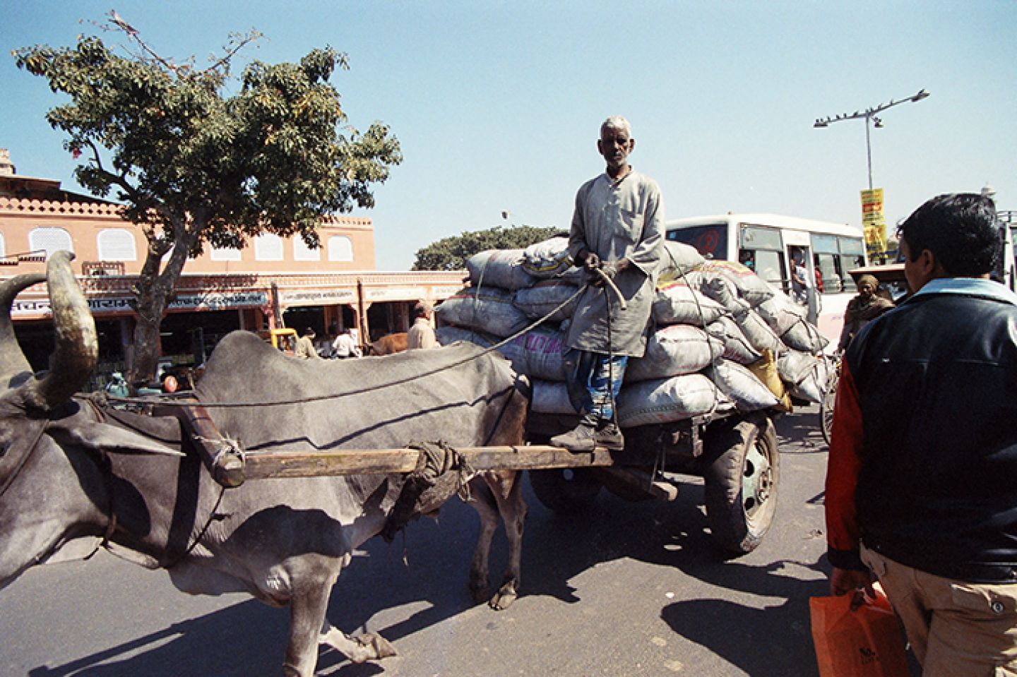 India 350