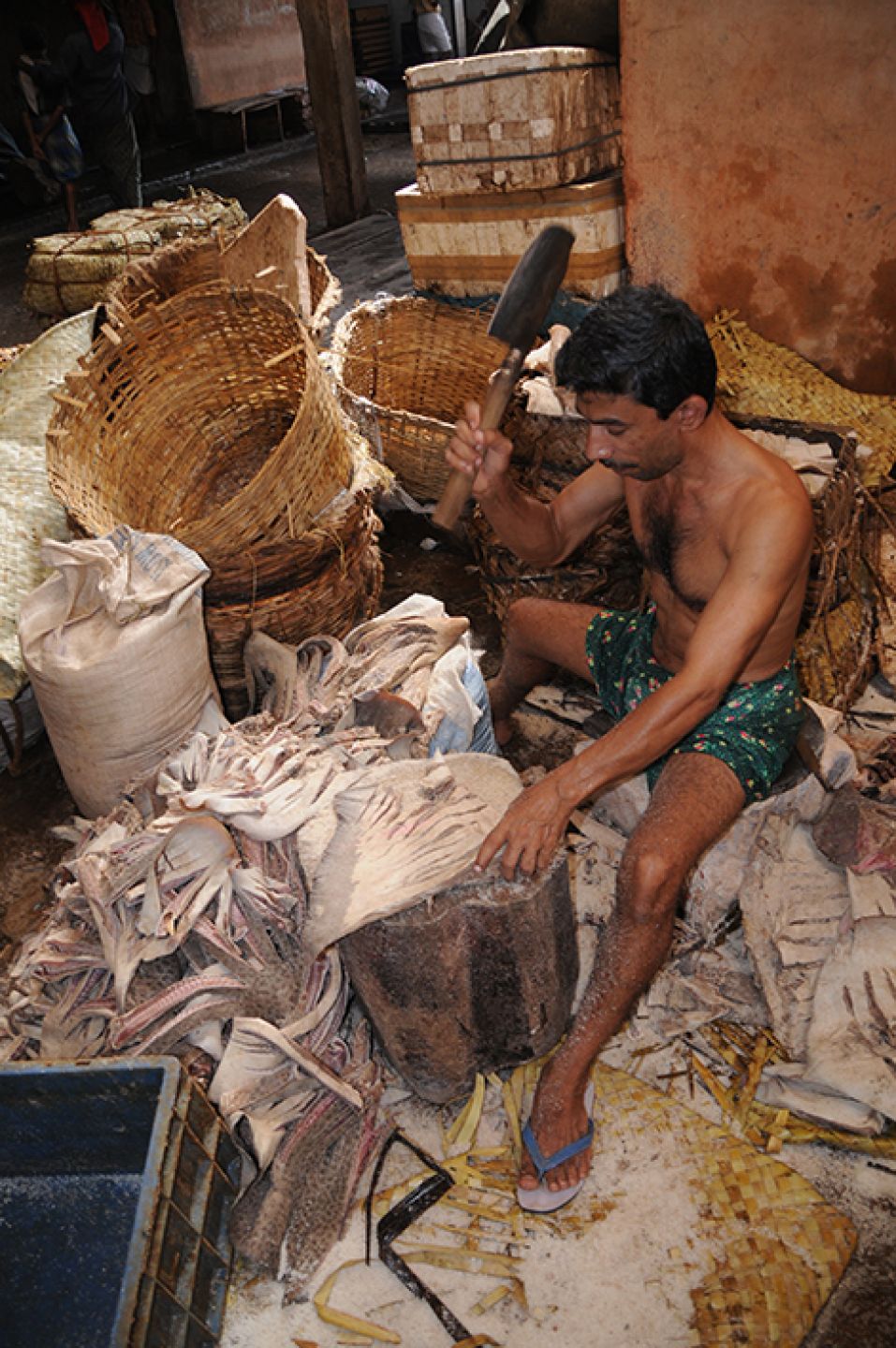 India 366