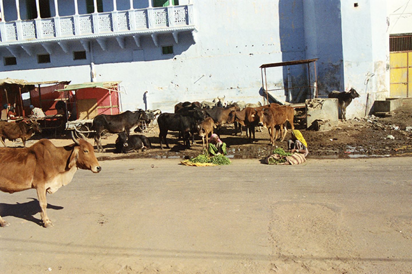 Hindistan 4