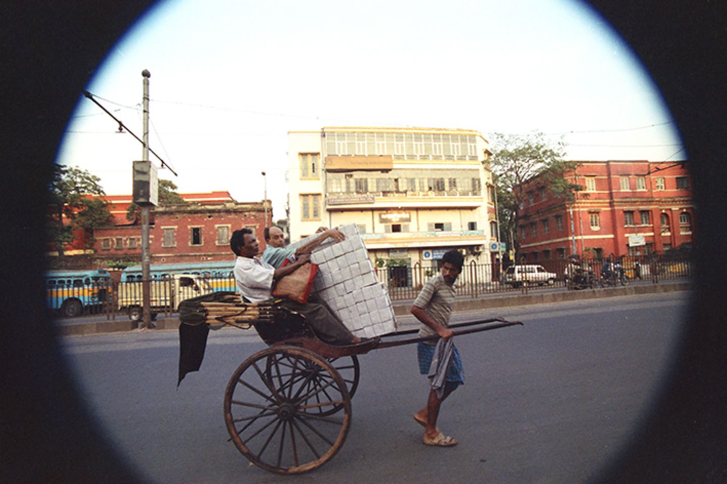 India 447