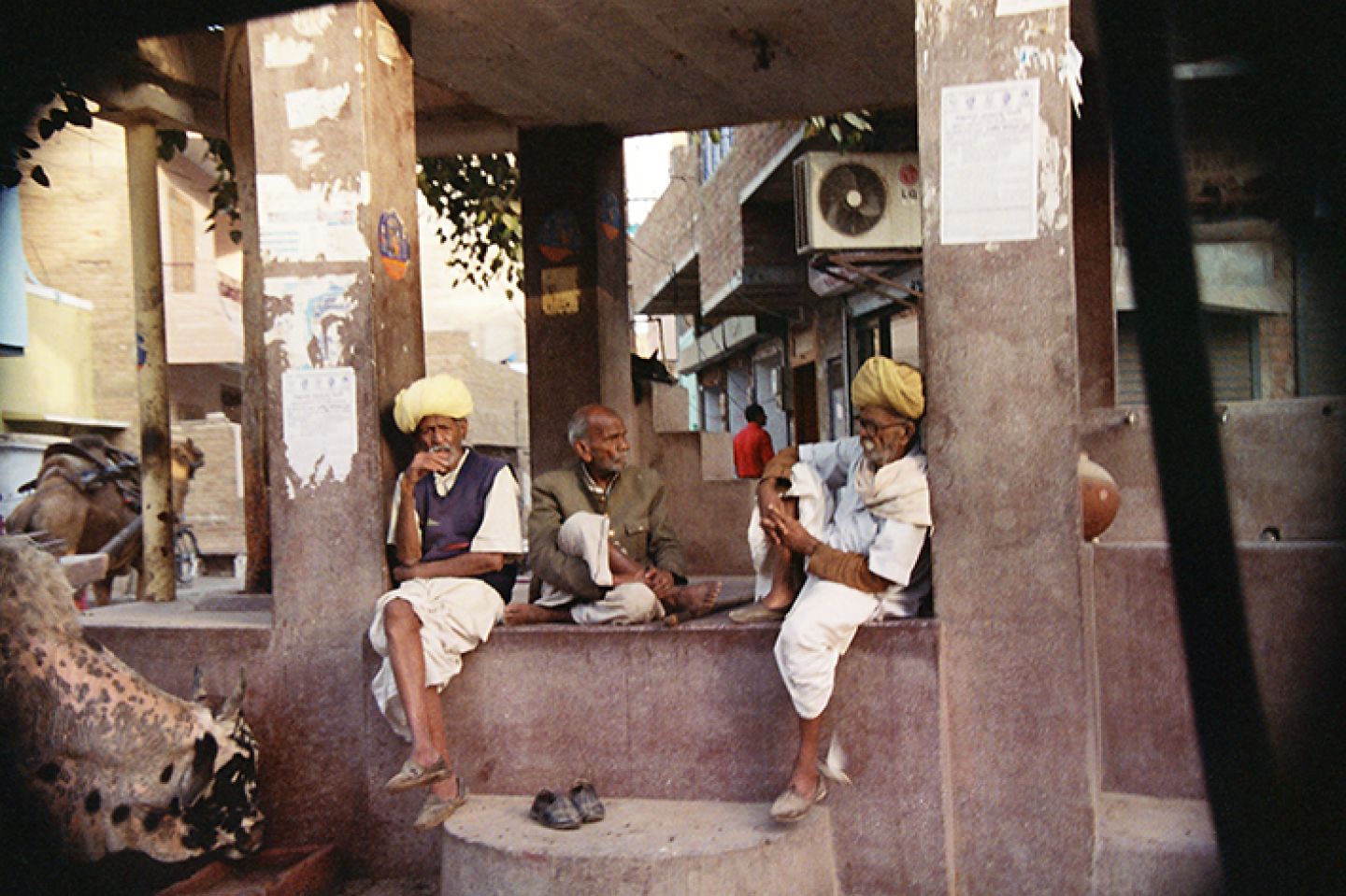 India 454