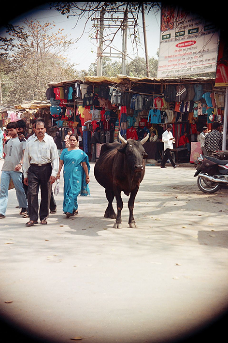 India 468