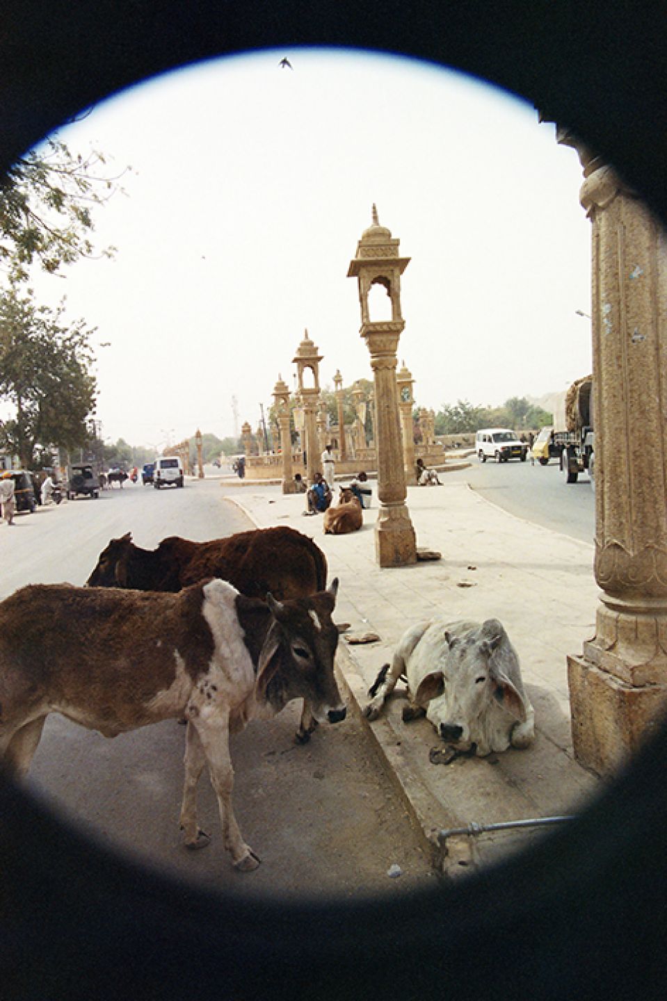 India 470