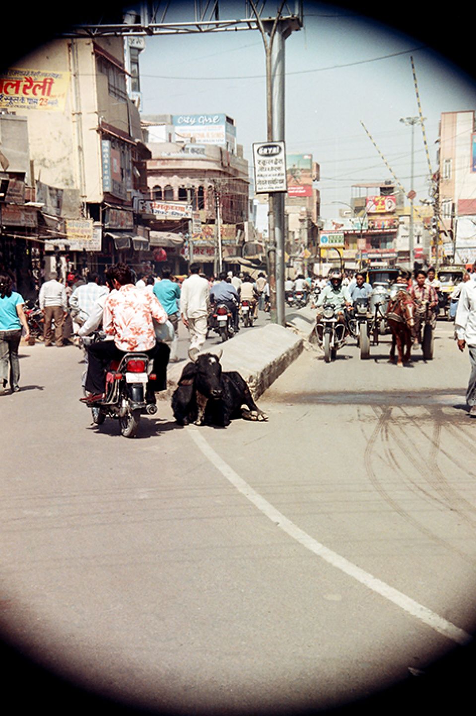 India 484