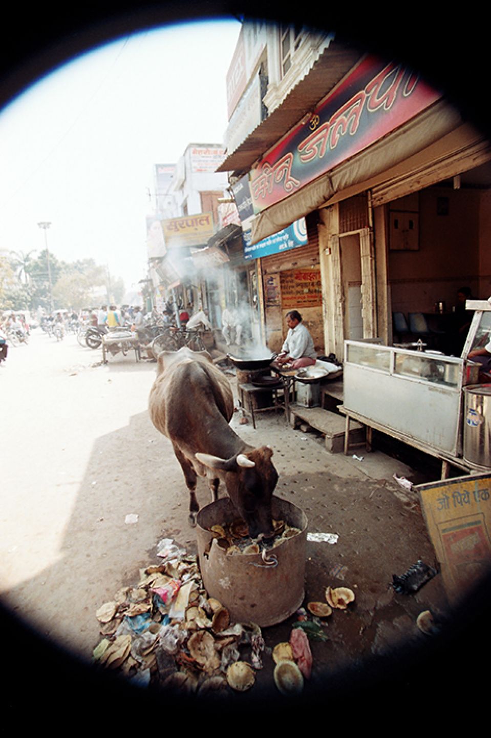 India 59