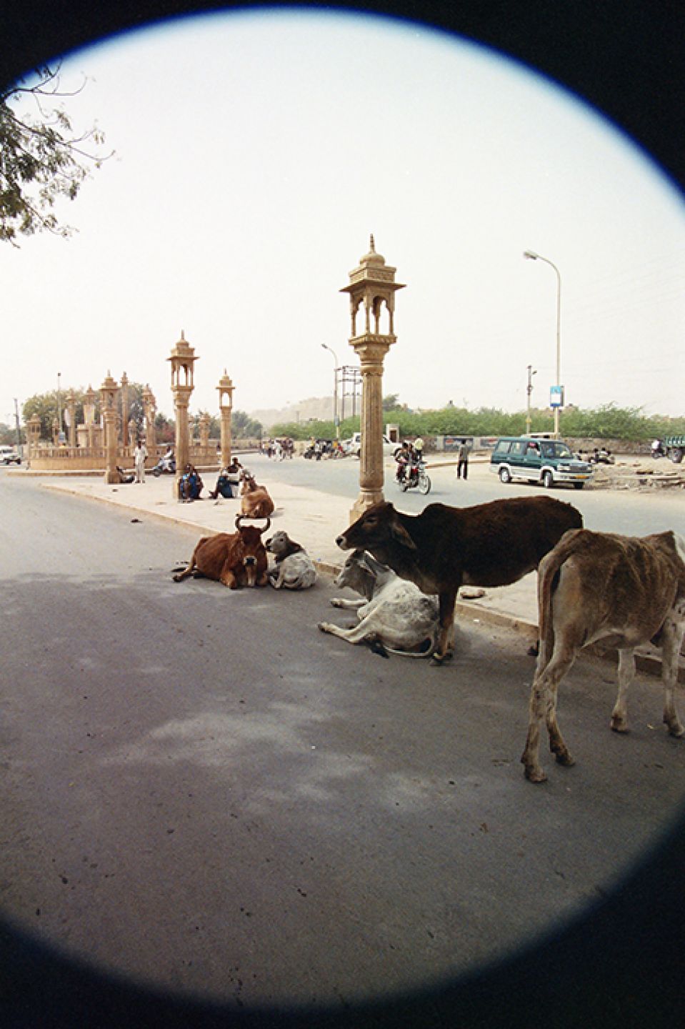 India 75