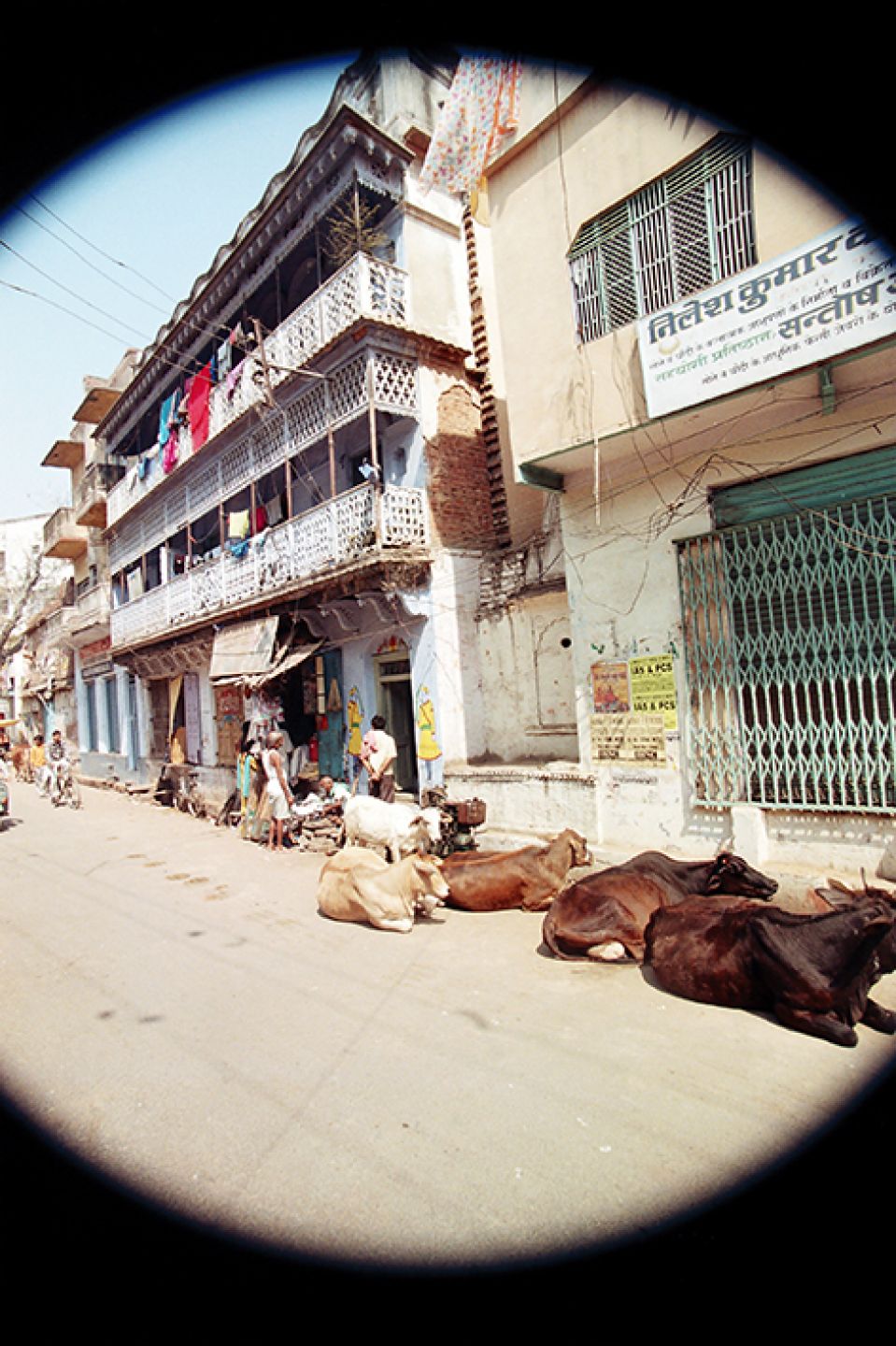 India 8